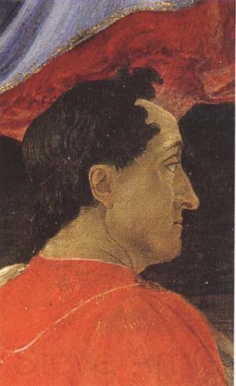 Sandro Botticelli Mago wearing a red mantle France oil painting art